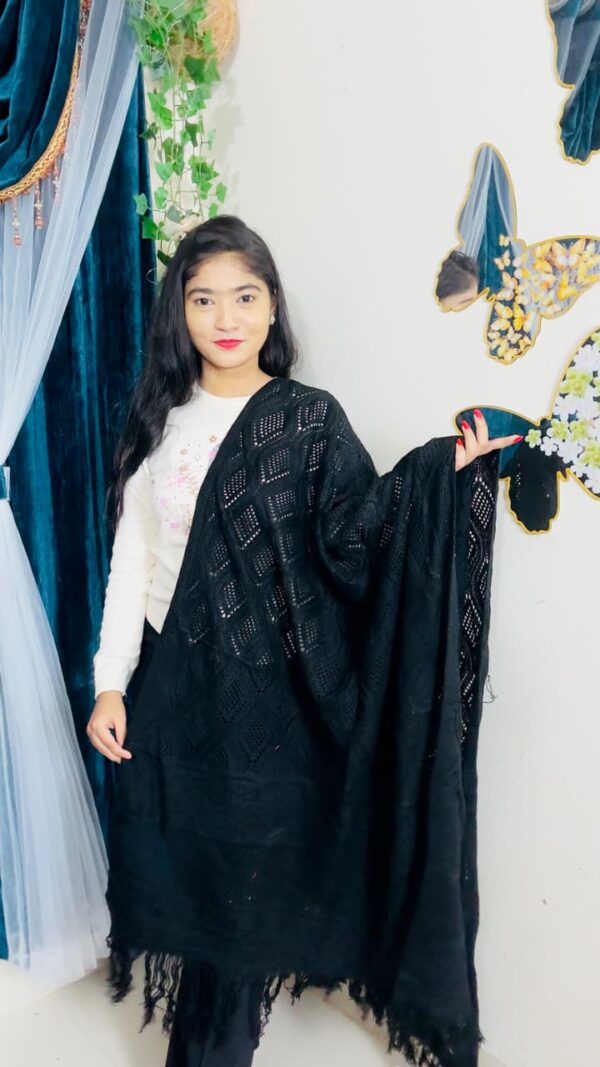 Premium Solid Ladies Shawl