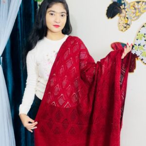 Premium Solid Ladies Shawl