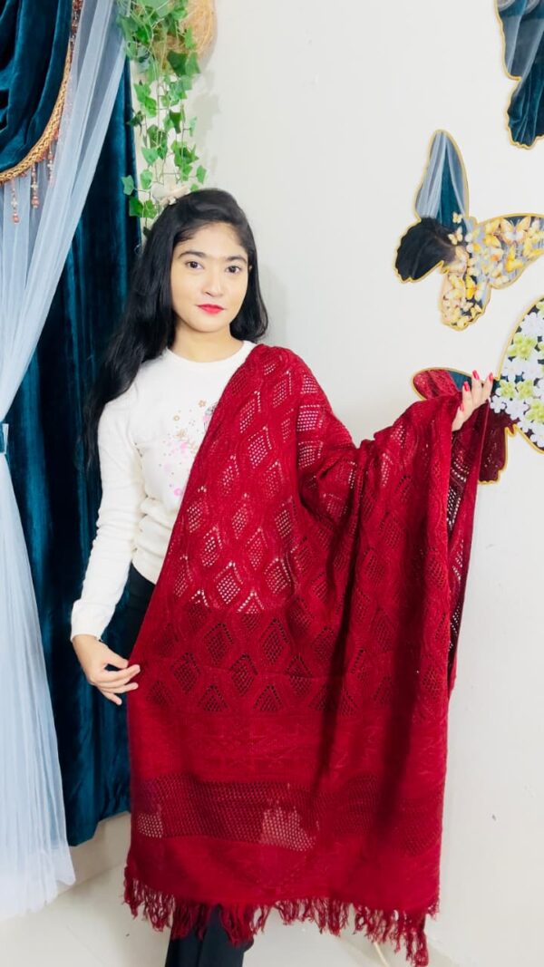 Premium Solid Ladies Shawl