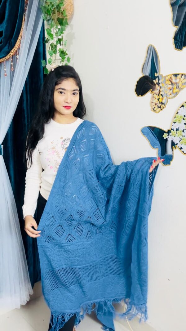 Premium Solid Ladies Shawl