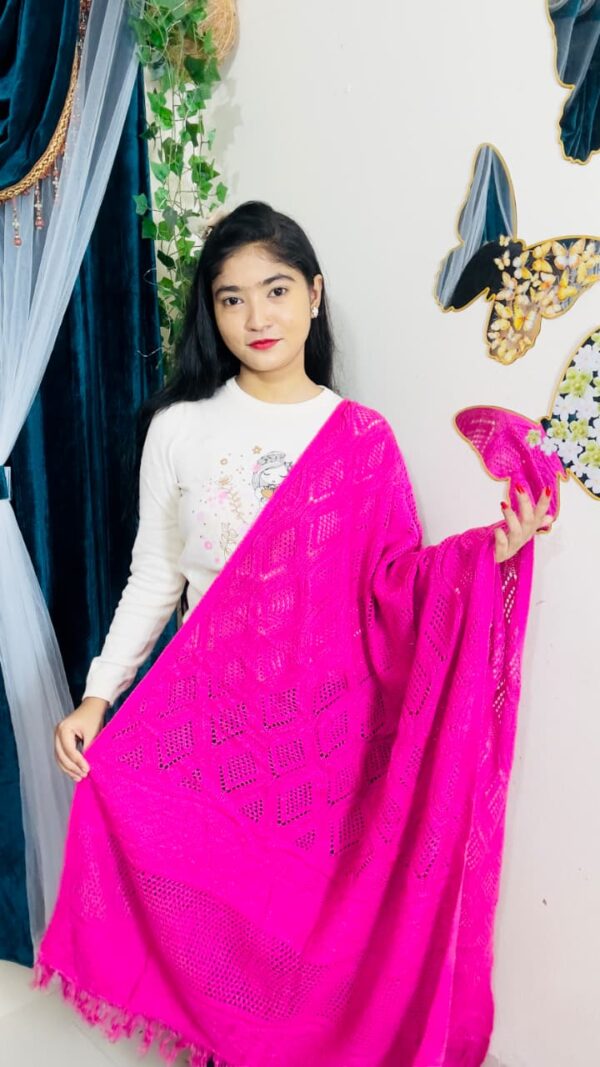 Premium Solid Ladies Shawl