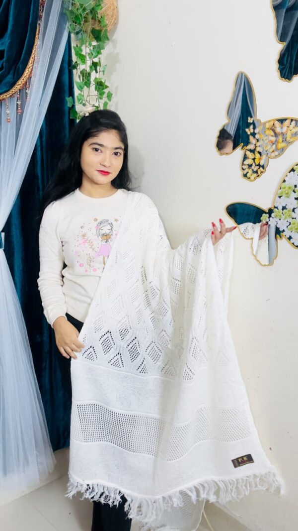 Premium Solid Ladies Shawl