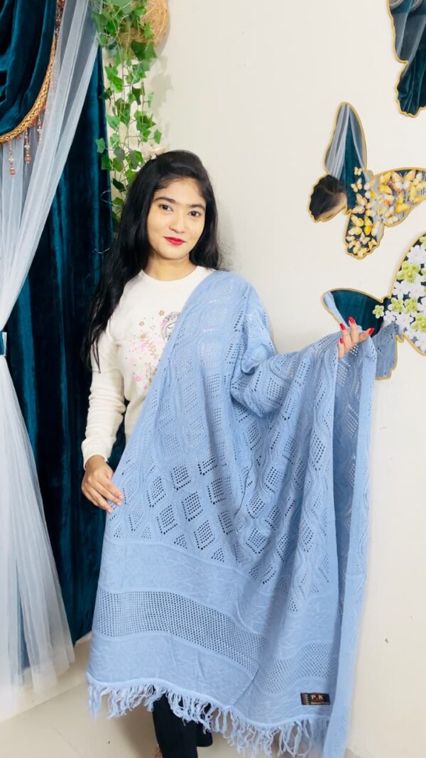 Premium Solid Ladies Shawl