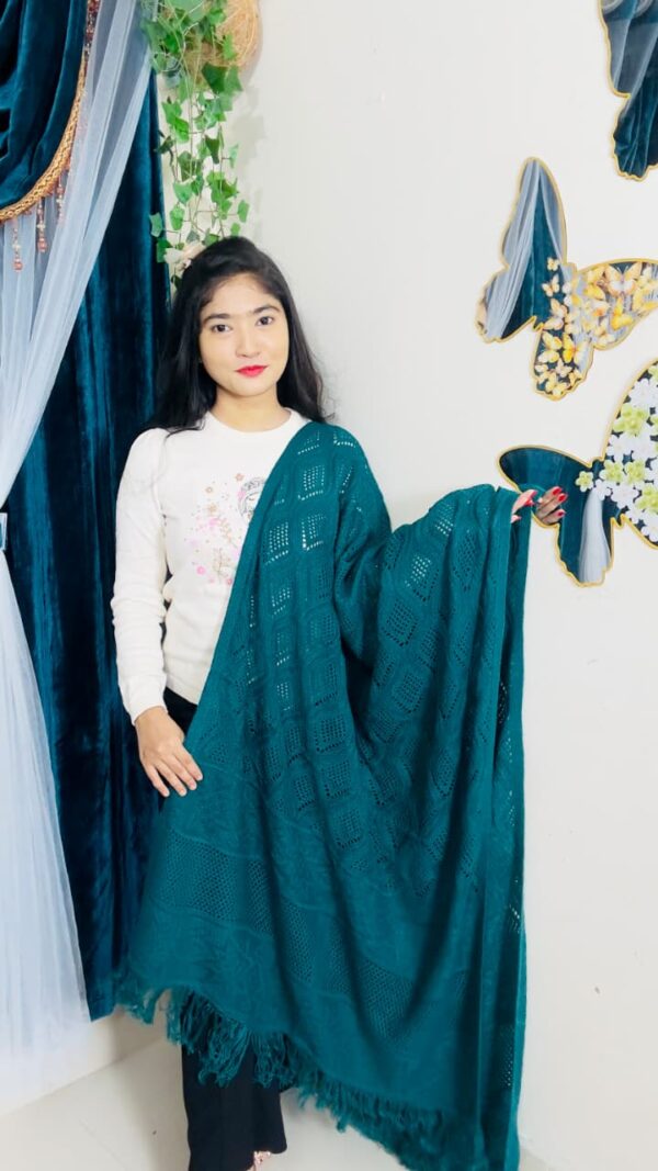 Premium Solid Ladies Shawl