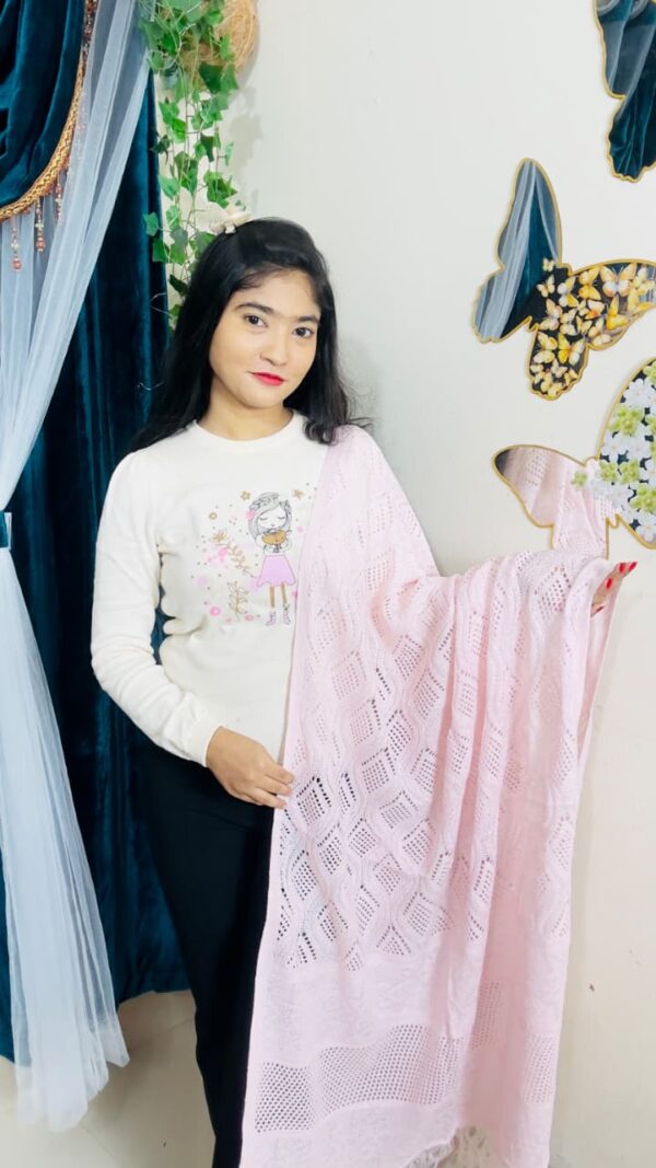 Premium Solid Ladies Shawl